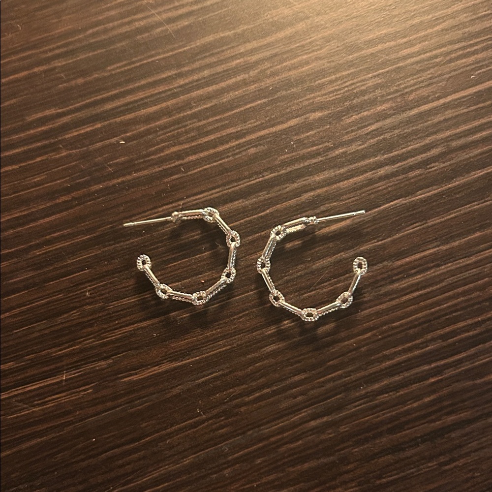 Elegant Silver Hoop Earrings